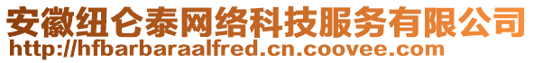 安徽纽仑泰网络科技服务有限公司