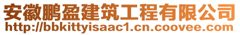 安徽鵬盈建筑工程有限公司