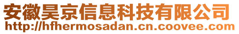 安徽昊京信息科技有限公司