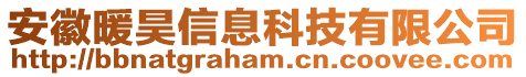 安徽暖昊信息科技有限公司