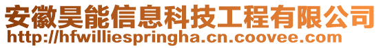 安徽昊能信息科技工程有限公司