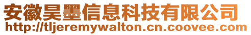 安徽昊墨信息科技有限公司