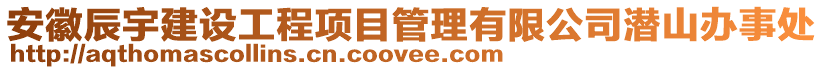 安徽辰宇建設工程項目管理有限公司潛山辦事處