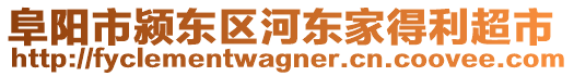 阜陽市潁東區(qū)河?xùn)|家得利超市