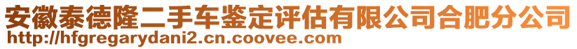 安徽泰德隆二手車鑒定評估有限公司合肥分公司