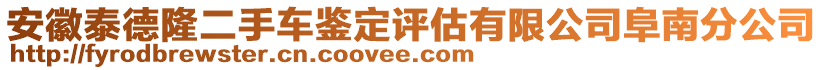 安徽泰德隆二手车鉴定评估有限公司阜南分公司