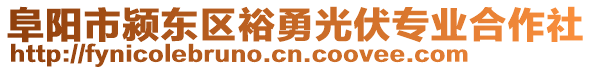 阜陽市潁東區(qū)裕勇光伏專業(yè)合作社