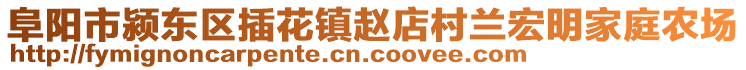 阜陽市潁東區(qū)插花鎮(zhèn)趙店村蘭宏明家庭農(nóng)場