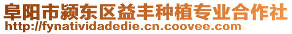 阜陽市潁東區(qū)益豐種植專業(yè)合作社