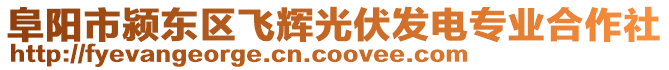 阜陽市潁東區(qū)飛輝光伏發(fā)電專業(yè)合作社