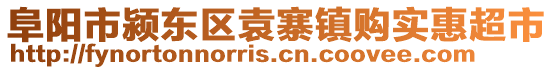 阜陽市潁東區袁寨鎮購實惠超市