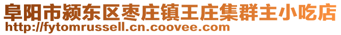 阜陽市潁東區(qū)棗莊鎮(zhèn)王莊集群主小吃店