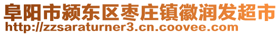 阜陽(yáng)市潁東區(qū)棗莊鎮(zhèn)徽潤(rùn)發(fā)超市