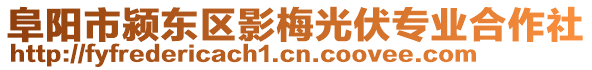 阜陽(yáng)市潁東區(qū)影梅光伏專業(yè)合作社