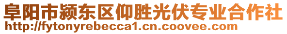 阜陽市潁東區(qū)仰勝光伏專業(yè)合作社