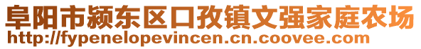 阜陽市潁東區(qū)口孜鎮(zhèn)文強家庭農(nóng)場