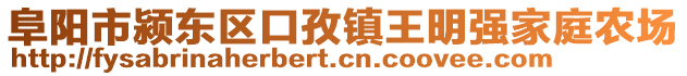 阜陽市潁東區(qū)口孜鎮(zhèn)王明強家庭農(nóng)場