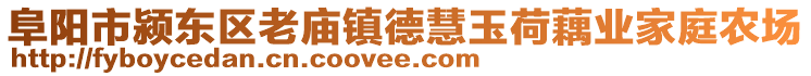 阜陽市潁東區老廟鎮德慧玉荷藕業家庭農場