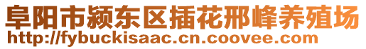 阜陽市潁東區插花邢峰養殖場