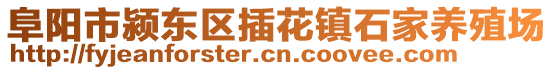 阜陽市潁東區(qū)插花鎮(zhèn)石家養(yǎng)殖場