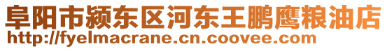 阜阳市颍东区河东王鹏鹰粮油店