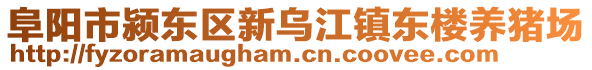 阜阳市颍东区新乌江镇东楼养猪场