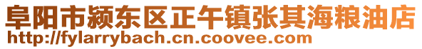 阜陽(yáng)市潁東區(qū)正午鎮(zhèn)張其海糧油店