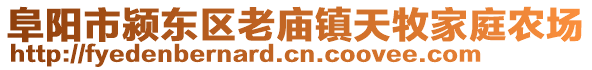 阜陽市潁東區(qū)老廟鎮(zhèn)天牧家庭農場