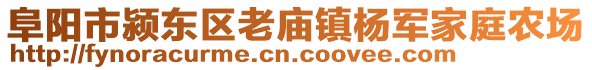 阜阳市颍东区老庙镇杨军家庭农场