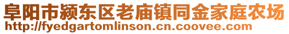 阜陽市潁東區(qū)老廟鎮(zhèn)同金家庭農(nóng)場