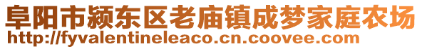 阜阳市颍东区老庙镇成梦家庭农场