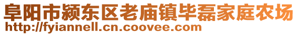 阜陽市潁東區(qū)老廟鎮(zhèn)畢磊家庭農場