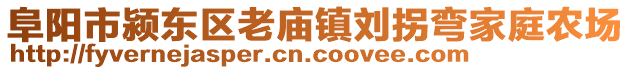 阜陽市潁東區(qū)老廟鎮(zhèn)劉拐彎家庭農(nóng)場