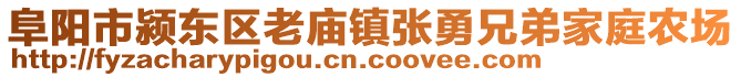 阜陽市潁東區(qū)老廟鎮(zhèn)張勇兄弟家庭農(nóng)場