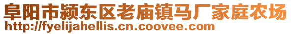 阜阳市颍东区老庙镇马厂家庭农场