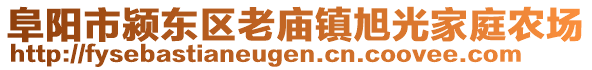 阜陽市潁東區(qū)老廟鎮(zhèn)旭光家庭農(nóng)場