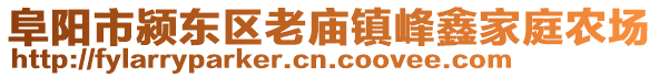 阜阳市颍东区老庙镇峰鑫家庭农场