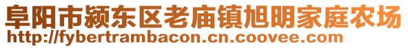 阜阳市颍东区老庙镇旭明家庭农场