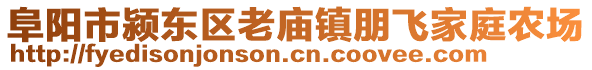 阜阳市颍东区老庙镇朋飞家庭农场