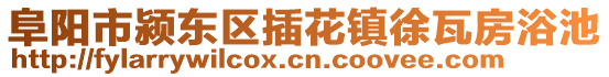 阜陽市潁東區(qū)插花鎮(zhèn)徐瓦房浴池