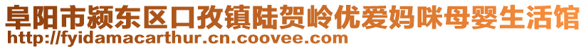 阜阳市颍东区口孜镇陆贺岭优爱妈咪母婴生活馆