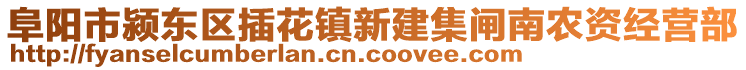 阜阳市颍东区插花镇新建集闸南农资经营部