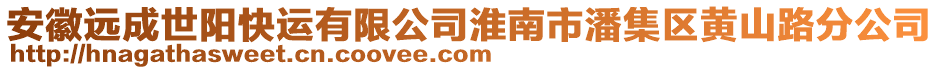 安徽遠(yuǎn)成世陽(yáng)快運(yùn)有限公司淮南市潘集區(qū)黃山路分公司