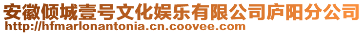 安徽傾城壹號文化娛樂有限公司廬陽分公司