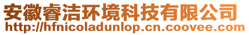 安徽睿潔環(huán)境科技有限公司