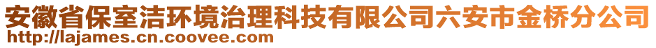 安徽省保室潔環(huán)境治理科技有限公司六安市金橋分公司