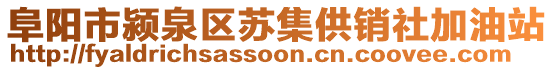 阜陽市潁泉區(qū)蘇集供銷社加油站