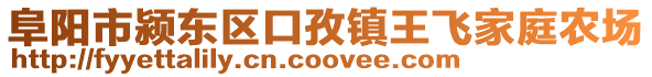 阜阳市颍东区口孜镇王飞家庭农场