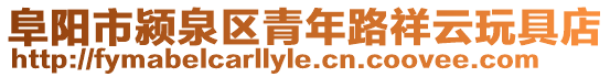 阜阳市颍泉区青年路祥云玩具店