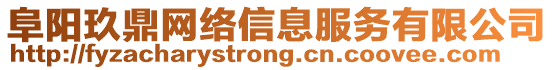 阜陽玖鼎網絡信息服務有限公司